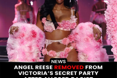 Basketball star Angel Reese was reportedly escorted out of a Victoria’s Secret after-party after making an offensive comment toward a veteran model. According to sources, security approached Reese shortly after the incident and removed her from the event. Insiders claim the decision came after multiple prior warnings before she was ultimately asked to leave