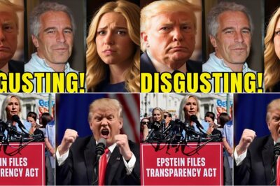 BREAKING: JUDGE RELEASES 300 SECRET T.R.U.M.P – EPSTEIN PHOTOS — INTERNET ERUPTS AS FILES GO MEGAVIRAL SECONDS AFTER DROPPING!