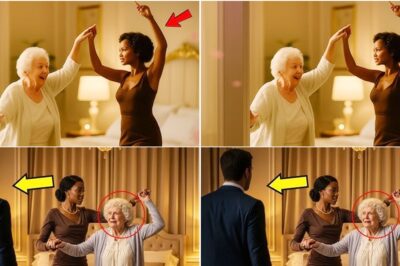 Millionaire mother hadn’t walked for 20 years- until the New Black Maid did the impossible