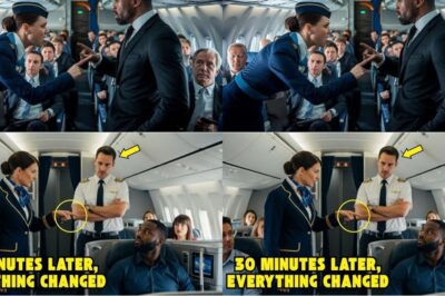 “I want to go first class,” the black man told the flight attendant. But she heard the pilot say that the passenger was being ridi.culous and was very harsh with him. Only 30 minutes after landing, the crew received a sh0cking dispatch from the human resources department. Only then did they know the true identity of the passenger.