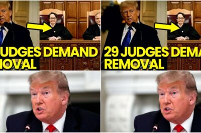 BREAKING — 29 JUDGES DEMAND T.R.U.M.P’S REMOVAL… BUT THE REAL TWIST HIT MINUTES LATER
