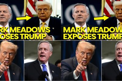 BREAKING: MARK MEADOWS ABANDONS T.R.U.M.P — COURTROOM TESTIMONY EXPOSES “HORRIFIC” SECRETS AS CAPITOL HILL ERUPTS.