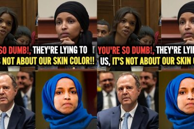 “PURVEYORS OF HATE?” — CANDACE OWENS FLIPS THE ACCUSATION BACK ON DEMOCRATS