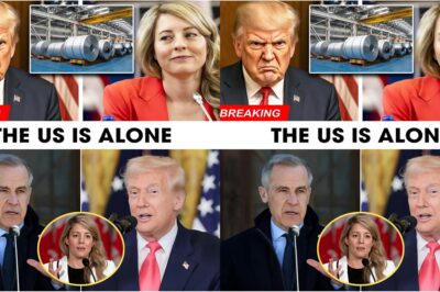 T.R.U.M.P FROZEN IN SHOCK: $500 MILLION STEEL SUPPLY SEIZED OVERNIGHT — JOLY UNLEASHES A TRADE SHIFT THAT BLINDSIDES WASHINGTON!.