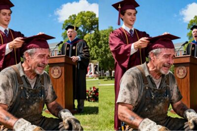 My stepfather was a construction worker for 25 years and raised me to get my PhD