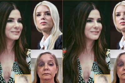 HOLLYWOOD IN FREEFALL: SANDRA BULLOCK’S $79 MILLION ONSCREEN REVOLT THAT SHATTERED THE SILENCE OF THE POWERFUL
