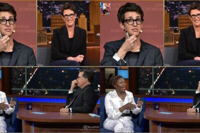 Whispers are spreading through the media world: Rachel Maddow has quietly launched something MSNBC never dared to attempt. No splashy announcement. No corporate fanfare. Just a tightly controlled newsroom built around a provocative promise—to cut through what she calls the illusion of “managed truth” and challenge the media power structure from the outside. Free from executives, advertisers, and political guardrails, the project is already raising eyebrows inside major networks. Is this a bold experiment in journalistic independence—or the first crack in the foundation of legacy media? Whatever Maddow is building, insiders say it could change everything.