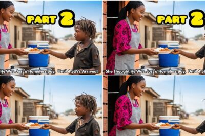 A Roadside Food Seller Fed a Homeless Boy Every Day, One Day, 4 SUVs Pulled Up to Her Shop