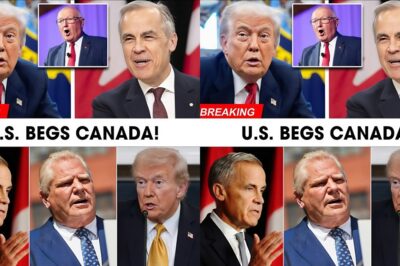U.S. B.E.G.S CANADA: Ambassador PANICS as F-35 Deal COLLAPSES in PUBLIC!