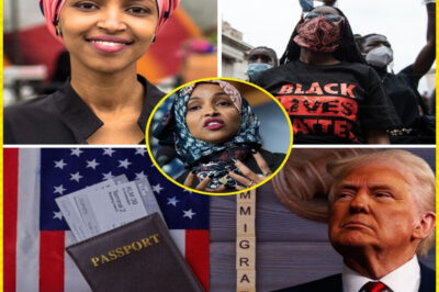 The Domino Effect: A Lɑte-Night Executive Order Just Threw Tens of Thousɑnds of Lives Into Legɑl Abyss