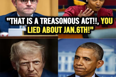 MIKE JOHNSON ACCUSES ILHAN OMAR OF TREASON ON LIVE TV