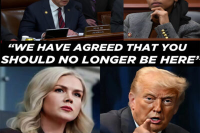 Social media exploded when Karoline Leavitt launched a tirade against Ilhan Omar, using the words of high-ranking Democrats – from Eliot Engel to Donald Trump’s controversial statements – to counter