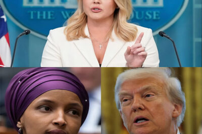 BREAKING: US citizenship just vanished overnight.