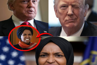 BREAKING NEWS: OMAR INSULTS TRUMP’S WIFE – TRUMP “STRIKES BACK,” CALLING THE ENTIRE SOMALI COMMUNITY IN THE TWIN CITIES “SEWER RATS IN A TRASH DUMP” – AMERICA SPLITS IN FURY AS RUMORS OF AN ICE RAID ON MINNEAPOLIS ERUPT!