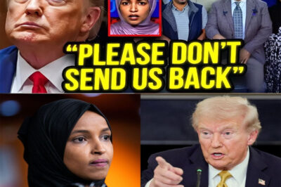 Minnesota Somalis just SURRENDERED — Ilhan Omar PANICS as T.r.u.m.p. Begins Sending Them BACK!!! In Minnesota’s “Little Somalia” center, rumors of T.R.U.M.P.’s new order spread like wildfire…