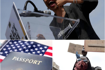 THE DOMINO EFFECT ERUPTS: tens of thousands plunged straight into a legal abyss.