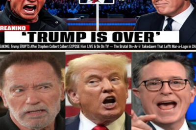 BREAKING: Trump EXPLODES After Stephen Colbert & Arnold Schwarzenegger SHRED Him LIVE On TV — The Savage On-Air Takedown That Threw Mar-a-Lago Into TOTAL CHAOS
