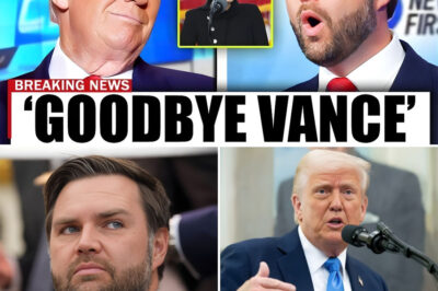 FLASH NEWS: JD Vance just got handed the most dangerous job in Washington — and Trump didn’t even blink
