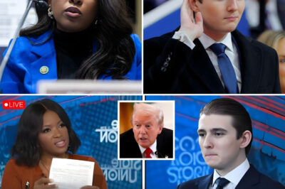 FLASH NEWS: Crockett leaves studio stunned after exposing the privilege behind Barron Trump’s viral meltdown