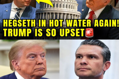 Republicans Just BLINDSIDED T.r.u.m.p With NEW Hegseth INVESTIGATION