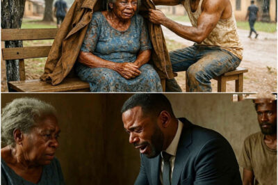 Poor Man Sees An Abandoned Widow And Helped Her Before She Ask, Days Later A Billionaire Knocked His