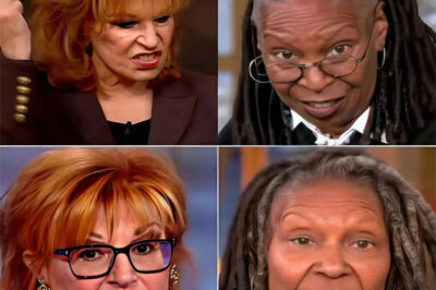 In a move that has sent shockwaves through the television industry, ABC has reportedly made the unprecedented decision to part ways with its most iconic—and controversial—veterans. Whoopi Goldberg and Joy Behar will not have their contracts renewed, marking a seismic shift for the long-running daytime talk show.