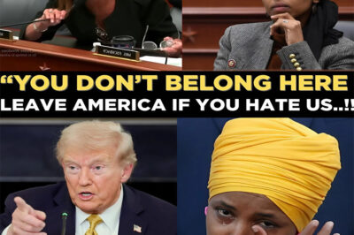 BREAKING: Lisa McClain obliterates Ilhan Omar on the House floor — and the chamber ERUPTS — just moments after D.o.n.a.l.d T.r.u.m.p publicly vowed to strip Omar’s citizenship and remove her from the United States entirely.