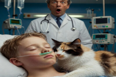 “Get that filthy animal out of here! This is an ICU, not a petting zoo for diseased rats!” My uncle screamed, storming into the hospital room and trying to throw the stray cat off my comatose son’s chest. He didn’t know that cat was the only thing keeping my son alive – and it was about to attack him to protect its master.