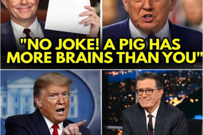 SHOCKING: CHAOS ERUPTS After COLBERT DESTROYS T.R.U.M.P’s “GENIUS LEVEL” CLAIM LIVE ON AIR — The ONE PAPER That Reportedly Sent Him Into FULL-BLOWN PANIC
