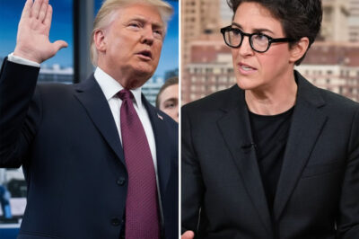 Rachel Maddow rips apart the shockingly naked absurdity in Trump’s prime-time speech: A president plunged into utter, desperate panic, exposed raw before millions!