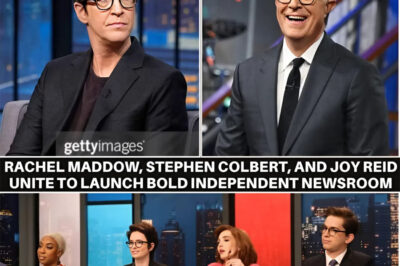 The corporate media landscape is trembling. Whispers of a “seismic shift” have reached a fever pitch as reports circulate that Rachel Maddow—the undisputed titan of primetime—is spearheading a secret project to dismantle the traditional news cycle. But the real shockwave? She’s reportedly recruiting the “unfiltered” power of Stephen Colbert and Joy Reid to launch a rogue, independent newsroom that answers to no one but the truth.