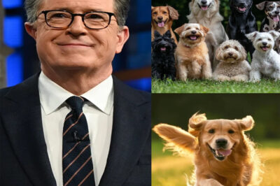 STEPHEN COLBERT’S QUIETEST MOVE JUST BECAME HIS LOUDEST STATEMENT YET