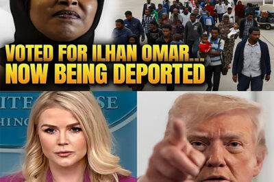 MINNESOTA IN CRISIS?MINNESOTA IN CRISIS: BILLIONS MISSING, TAXES RISING, AND A POLITICAL FIRESTORM EXPLODING NATIONW