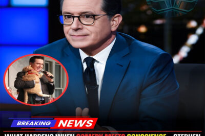 LATEST UPDATE: What happens when comedy meets conscience—Stephen Colbert’s “Evergreen Sanctuary” reveals a bold, multi-million-dollar commitment to abandoned dogs in Malibu