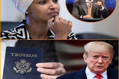 The Domino Effect: A Late-Night Executive Order Just Threw Tens of Thousands of Lives Into Legal Abyss