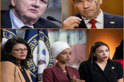 31 MEMBERS OF CONGRESS ARE NEXT IN LINE FOR POSSIBLE REMOVAL, AND WASHINGTON IMMEDIATELY DESCENDED INTO A NIGHT OF UNPRECEDENTED CHAOS.