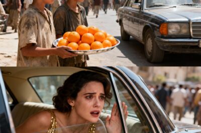 A Hero’s Homecoming Turned Into a Nightmare When Her Sister Took Everything