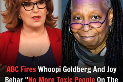 There’s been a lot of buzz about Whoopi Goldberg and Joy Behar’s status on The View, with some sources claiming they’re being let go due to “toxic” behavior. But ABC has officially denied these rumors, stating they’re false. The controversy started with a claim that the network was cleaning house, but multiple fact-checking organizations, including Reuters, have debunked the story, tracing it back to unreliable sources