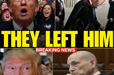 Trump’s Cabinet RESIGNS in Mass Walkout During Live Press Conference!