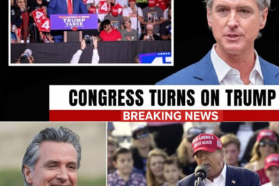 1 MIN AGO: Trump Assets SEIZURE Begins as Judge REJECTS His Claims