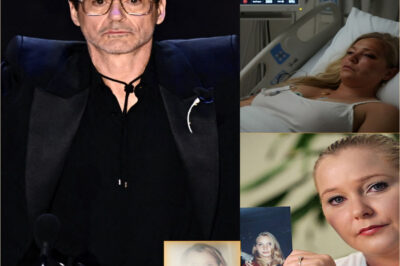 “When Money Fails to Silence the Truth: The $241 Million Gamble That Made Hollywood Tremble”