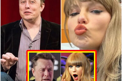 “The keys to the kingdom have just changed hands. In a multi-billion-dollar blitz that has sent the Disney boardroom into a tailspin, Elon Musk has reportedly finalized a takeover of ABC with a single, brutal mission: to ‘dismantle the echo chamber’ from the inside out. With a controversial new CEO already in the wings, Musk isn’t just buying a network—he’s initiating a total content purge that could delete decades of programming by sunrise. What was the ‘final straw’ that led to this acquisition, and which household-name shows are already on the chopping block?”