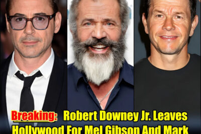 “Tony Stark has officially left the building—and he’s not going back. In a move that has paralyzed Disney’s 2026 production slate, Robert Downey Jr. is reportedly walking away from the ‘Marvel machine’ to join Mel Gibson and Mark Wahlberg’s defiant new studio. This isn’t just a career change; it’s a total defection to a ‘non-censored’ cinematic frontier. We’ve uncovered the ‘private ultimatum’ Downey delivered to the major studios and the ‘explosive’ first script he’s developing with Gibson. Is this the beginning of a Hollywood exodus, or the birth of a new ‘Independent Empire’?”
