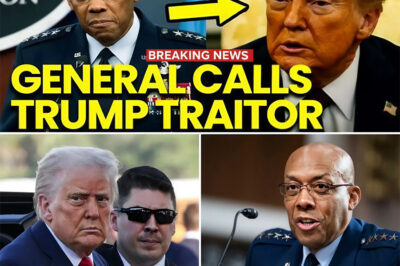 POLITICAL EARTHQUAKE: Trump Faces Firestorm After Former General’s Explosive Accusation.