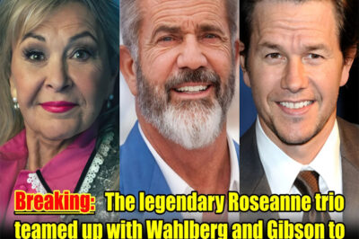 “The ‘Untouchables’ of Hollywood just went corporate. In a 2026 industry move that has the ‘Big Five’ studios in a state of absolute panic, Roseanne Barr, Mark Wahlberg, and Mel Gibson have reportedly pooled their combined billions to launch Non-Woke Productions. This isn’t just a studio; it’s an ‘ideological fortress’ designed to bypass every gatekeeper in the business. We’ve uncovered the ‘first-look’ slate of projects that were reportedly deemed ‘too dangerous’ for mainstream theaters. From a secret historical epic to a sitcom that breaks every modern rule, find out why this trio is calling it the ‘End of the Correctness Era.'”