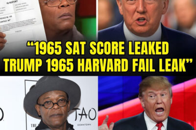 BREAKING: TRUMP ERUPTS After MOCKING HARVARD GRADS — SAMUEL L. JACKSON “RELEASES” HIS 1965 SAT SCORECARD LIVE ON TV, STUDIO GOES NUCLEAR