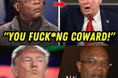 BREAKING: TRUMP ERUPTS After SAMUEL L. JACKSON EXPOSES His “DIRTY SECRETS” LIVE ON TV — STUNNING ON-AIR MOMENT SENDS STUDIO INTO TOTAL CHAOS