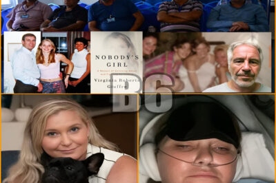 Netflix has released another new documentary centered on Virginia Giuffre, adding to its growing body of investigative content surrounding abuse allegations and the systems of power involved.