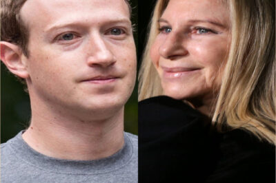 BREAKING: BARBRA STREISAND SHATTERS HOLLYWOOD SILENCE—A $207 MILLION ACT OF TRUTH THAT LEFT THE ELITE SPEECHLESS