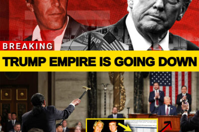 BOMBSHELL UNCOVERED: DEMS’ OWN INVESTIGATOR BLOWS LID OFF SHOCKING EPSTEIN PAYMENTS